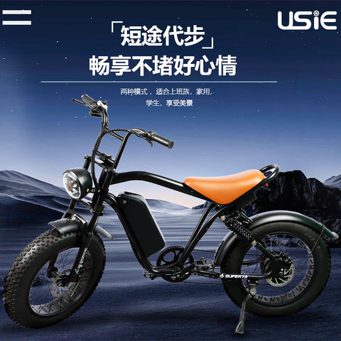 Factory Direct Cross-border 20-inch Electric Bicycle Cross-country Snow Bicycle Mountain Bike Power-assisted Electric Bicycle